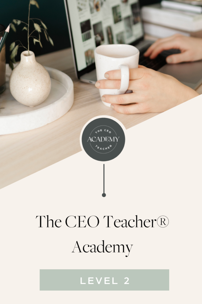 What is a ceo teacher
